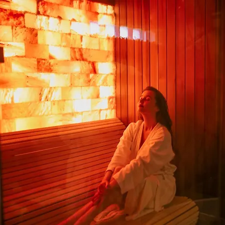 Soko In Aparthotel Sokobanja