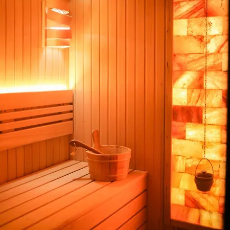 Soko In Aparthotel Sokobanja