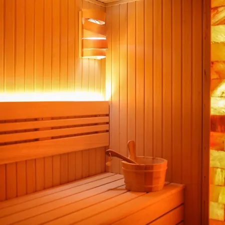 Aparthotel Soko In 4*