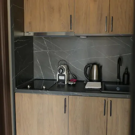 Soko In Aparthotel Sokobanja